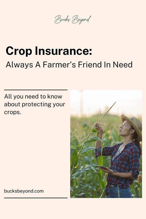 Crop insurance creates a fine line between the crops insured and not insured. It provides a safety net that can make the difference between bouncing back quickly or facing financial hardship. By understanding and opting for crop insurance, a farmer's hard work is protected, regardless of what nature throws their way. Want to know more about Crop Insurance!! Check out our blog on Crop Insurance @ BucksBeyond. Farmers Insurance Marketing, Financial Hardship, Crop Insurance, Funny Insurance Memes Hilarious, Insurance Meme, Friend In Need, Workers Compensation Insurance, Safety Net, A Farmer