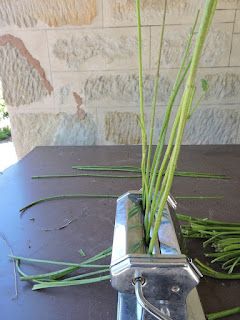 weaving magic naturally: Preparing Stinging Nettle Fibre. Foraged Fibers, Foraged Fibres, Decorating With Nature, Spinning Yarn Fiber, Flax Weaving, Basket Weaving Diy, Edible Wild Plants, Stinging Nettle, Willow Weaving