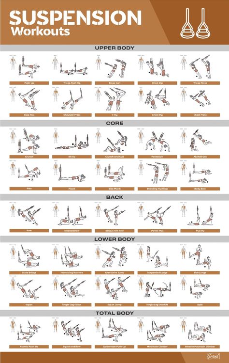 Poster Exercise, Suspension Training Workouts, Suspension Workout, Trx Full Body Workout, Trx Suspension Training, Fitness Poster, Trx Training, Gym Antrenmanları, Gym Poster