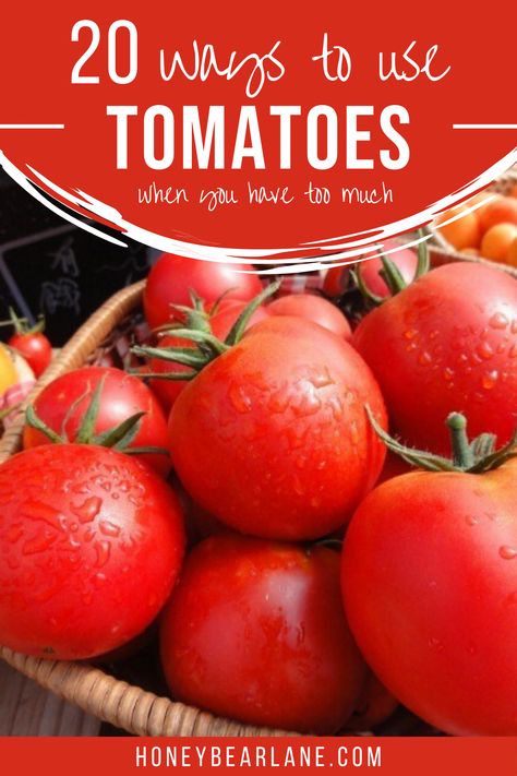 A little tomato inspiration for any of you overcome with an abundance of tomatoes this year.  Best ways to use tomatoes from garden. Garden tomatoes what to do with.What to do with extra garden tomatoes. Things To Make With Tomatoes From The Garden, Uses For Garden Tomatoes, What To Do With Bulk Tomatoes, Ways To Use Tomatoes From Garden, What To Do With An Abundance Of Tomatoes, Big Tomato Recipes, What To Do With A Bunch Of Tomatoes, Things To Do With Tomatoes From Garden, What To Make With Garden Tomatoes