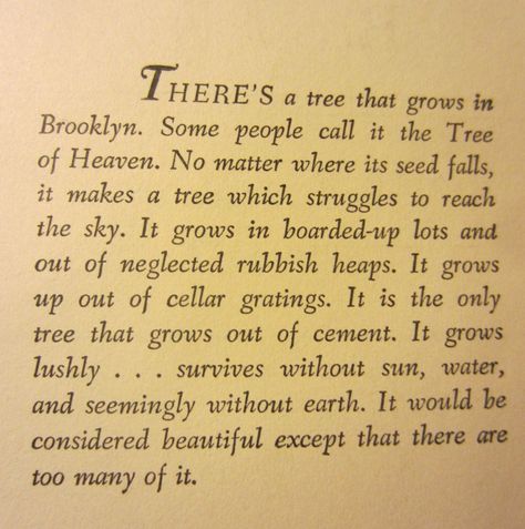 1940s novels | Reel Old Reads Brooklyn Quotes, A Tree Grows In Brooklyn, Tree Grows In Brooklyn, Silly Words, Best Quotes From Books, World Of Books, Best Selling Books, What To Read, Growing Tree