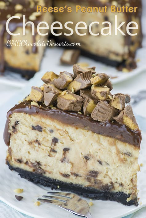 Reese's Peanut Butter Cheesecake, Peanut Butter Cheesecake Recipes, Oreo Crust Cheesecake, Biscotti Cheesecake, Triple Chocolate Cheesecake, Chocolate Peanut Butter Recipes, Bolo Red Velvet, Chocolate Peanut Butter Cheesecake, Pecan Pie Cheesecake