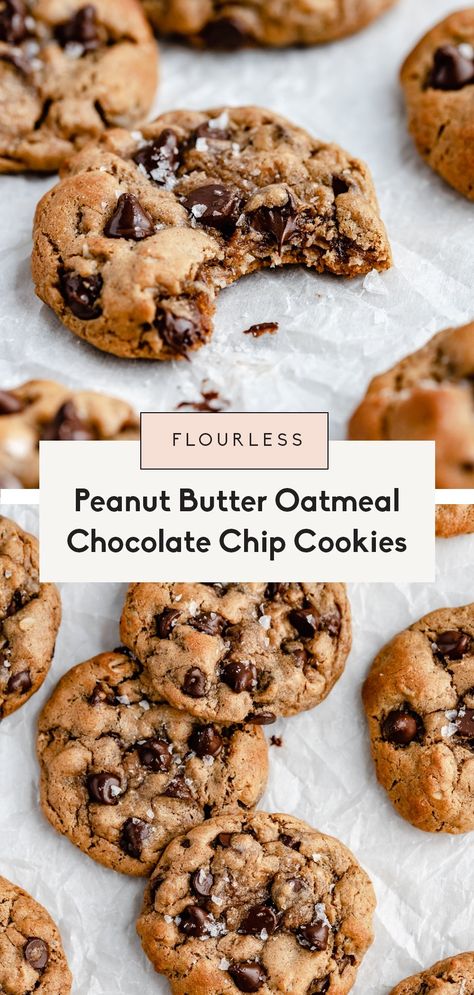 Healthy Peanut Butter Oatmeal, Healthy Peanut Butter Oatmeal Cookies, Chocolate Chip Cookies Gluten Free, Peanut Butter Oatmeal Chocolate Chip, Peanut Butter Oatmeal Chocolate Chip Cookies, Flourless Peanut Butter Cookies, Flourless Cookies, Cookies Gluten Free, Ambitious Kitchen