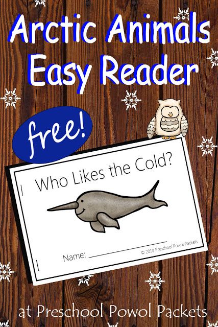 Polar Animals Kindergarten Activities, Arctic Animal Lesson Plans For Preschool, Arctic Activities For Preschool, Arctic Fox Preschool Activities, Polar Bear Facts Preschool, Kindergarten Arctic Animals, Arctic Fox Crafts, Arctic Animals Preschool Activities Free Printables, Arctic Animals Printables