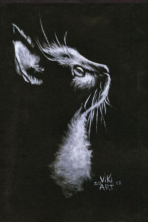 Cat On Black Paper, Silhouette Chat, Beautiful Pencil Drawings, Memorial Portrait, Black Canvas Art, Dog Portraits Art, Black Canvas Paintings, Black Paper Drawing, Art Noir