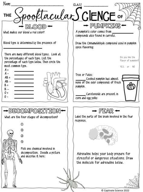 Blog post for planning and middle school science halloween lesson. Fun experiments and this print and go worksheet! FREE Fall Worksheets For Middle School, Halloween Science Worksheets, Middle School Science Syllabus, Middle School Halloween Science, Halloween Lesson Plans Middle School, Health Science Activities High School, Science Halloween Activities, Science Games Middle School, Science Experiments Middle School