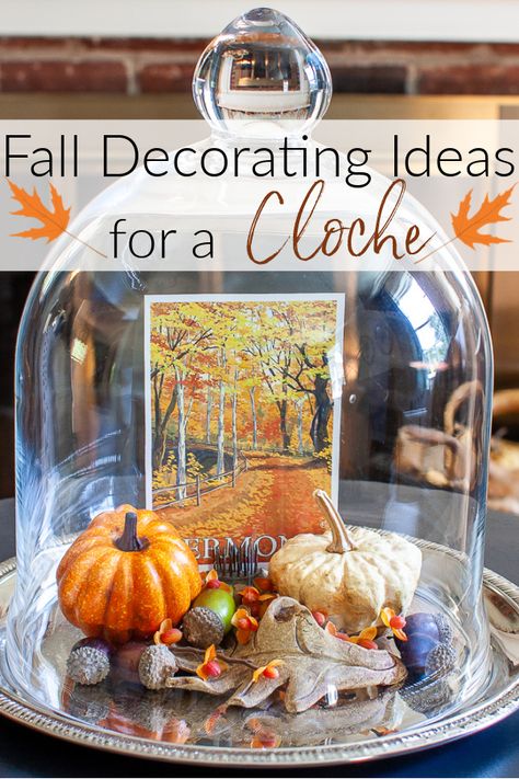 Fall Decorating Ideas for a Cloche - Learn how to create a fall vignette using a cloche. Many ideas are shared by a group of talented home decor bloggers. #falldecoratingideas #falldecorideas #fallcloche Cloche Display Ideas, Fall Cloches Decor Ideas, Cloches Decor Ideas For Christmas, Fall Cloche Decor Ideas, Thanksgiving Cloche Ideas, What To Put Under A Cloche Glass Domes, Cloches Decor Ideas For Fall, Dome Display Ideas, Cloche Fall Decor