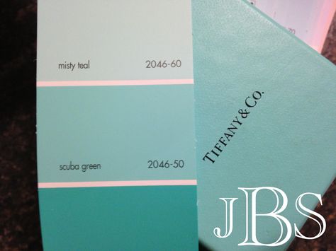 A few months ago, I was discussing front door colors with a Twitter follower (@latinabug_nj). I had just painted our front door Wythe Blue from Benjamin Moore & also, updated the storm door wit… Tiffany Blue Rooms, Tiffany Blue Paint, Blue Door House, Tiffany Blue Walls, Tiffany Blue Bathrooms, Tiffany Blue Bedroom, Tiffany Room, Tiffany Blue Color, Farrow & Ball