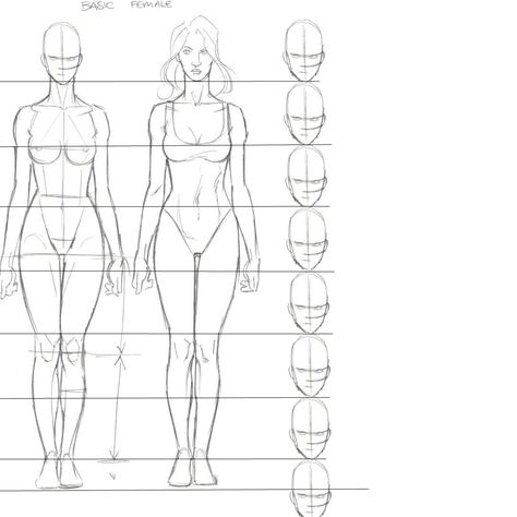 Human Figure Sketches Proportion, Female Proportions Drawing Reference, Woman Anatomy Tutorial, Female Proportions Drawing, How Many Heads Tall Is A Person, Body Proportions Female, Human Proportions Drawing, Hand Turnaround, Female Body Proportions