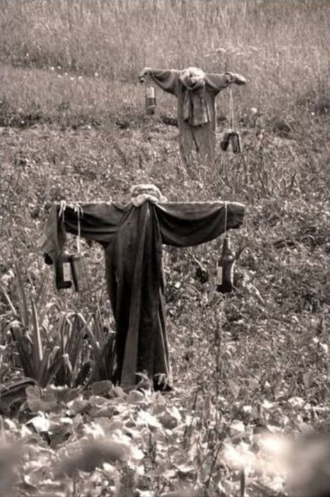 30 Vintage Photos of Creepy Scarecrows From the Past ~ Vintage Everyday Southern Witch, Witch Scarecrow, Creepy Scarecrow, Haunted Images, Jonathan Crane, Yard Haunt, Halloween Scarecrow, Halloween Prop, Southern Gothic