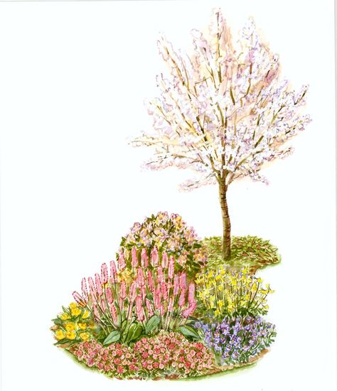 island-bed-with-weigela-illustration-487f2a44 Juniperus Horizontalis, Victorian Butterfly, Island Bed, Blue Flowers Garden, Island Garden, Garden Escape, Deer Resistant Perennials, Garden Plan, Corner Garden