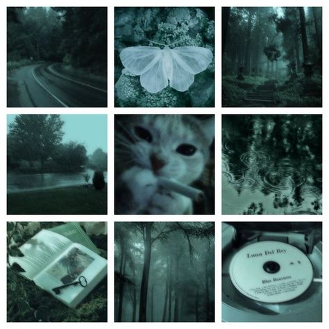 Oc Moodboard Aesthetic, Rain Moodboard, Cat Moodboard, Punk Moodboard, Birdhouse In Your Soul, Fae Aesthetic, Fairy Grunge Aesthetic, Adopt Idea, Green Cat