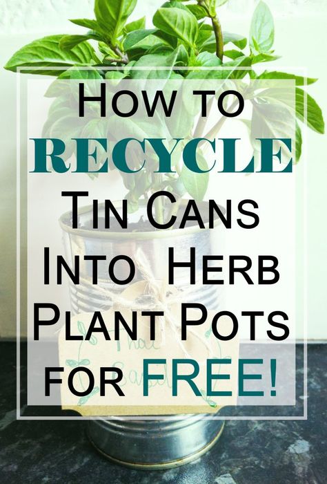 Ivy Plant Indoor, Garden Diy Decoration Ideas, Gardening Herbs, Diy Home Improvements, Recycled Tin Cans, Herbs Garden, Plant Pot Diy, Recycled Art Projects, How To Recycle