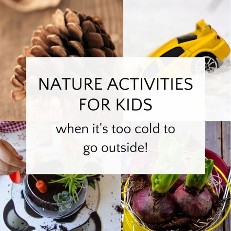 Indoor Nature Activities, Indoor Nature Activities For Kids, Winter Nature Activities, Outdoor Winter Activities For Kids, Nature Activities For Kids, Nature Walk Activities, Indoor Nature, Love Of Nature, Nature Background Images