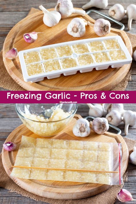 Frozen Garlic Hack, Recipes That Use A Lot Of Garlic, How To Freeze Minced Garlic, What Foods Can You Freeze, Freeze Dried Garlic, Canned Minced Garlic, How To Freeze Garlic Cloves, How To Freeze Garlic, Freeze Garlic Cloves