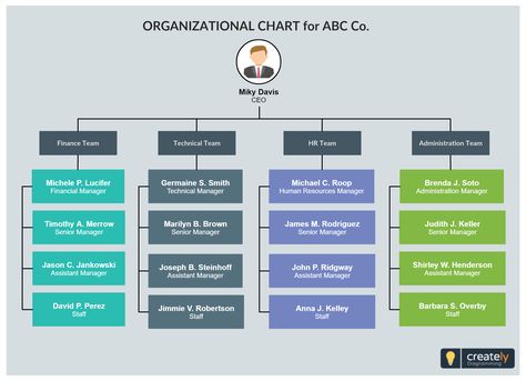 Org Chart Template for Company or Organization - Easily editable org chart template for a company. Include finance team, tech team, HR and administration department. Edit online create one for your company and download as image files.  #organization #orgchart #orgstructure #heirarchy #organigram #companycharts #diagram #template Org Chart Template, Org Chart Design, Company Organization Chart, Business Organizational Chart, Organization Chart Design, Files Organization, Hr Planning, Organization Chart Template, Organisational Structure