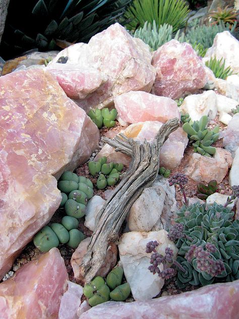 Crystals Garden, Airbnb Backyard, Witchy Lifestyle, Plants Crystals, Crystal Gardens, Crystal Ideas, Low Maintenance Garden Design, Bohemian Garden, Succulents Plants