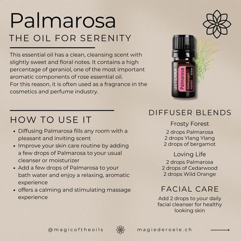 Discover the Power of Palmarosa Obtained from a tropical grass in Nepal, Palmarosa oil has a sweet, floral scent reminiscent of roses. It has been known for centuries for its many beneficial properties. It supports a healthy complexion and immune function, and is often used in the cosmetic and perfume industries because of its rose-like scent. Emotionally, the oil is for anyone who feels stuck in their tension. Perhaps you've been hurt or disappointed? Palmarosa will help you by encouragi... Palmarosa Essential Oil, Give Love, Rose Essential Oil, Oil Blends, Sweet Floral, Diffuser Blends, Feeling Stuck, Floral Notes, Floral Scent