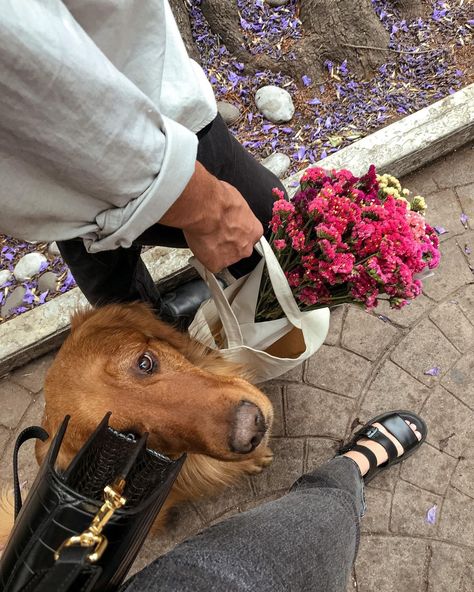 serg & tana on Instagram Condesa mexico city travel roma norte aesthetic parisian vibe golden retriever couples fashion Couple With Golden Retriever Aesthetic, Golden Retriever Mom Aesthetic, Couple Dog Aesthetic, Dog Mum Aesthetic, Couple With Golden Retriever, Couple Golden Retriever, Couple With Dog Aesthetic, Norway Life, Golden Retriever Aesthetic