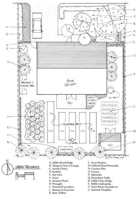 North Florida Garden, Florida Vegetable Garden, South Florida Gardening, Food Garden Layout, Florida Backyard, Florida Garden, Florida Landscaping, Backyard Layout, Farm Plans