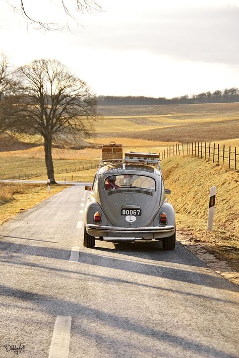 let's ride Drømme Liv, Lev Livet, Vw Vintage, Fotografi Vintage, Lukisan Cat Air, Old Car, Vw Beetle, Green Gables, Open Road