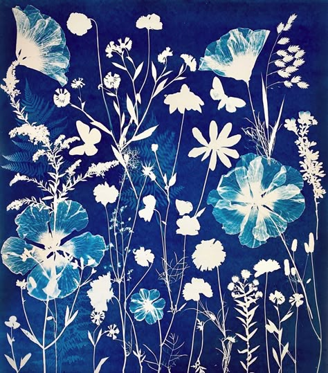 Cyanotype Process, Sun Prints, Nature Crafts, Photo Images, Art Plastique, Botanical Art, Pressed Flowers, Botanical Prints, Watercolor Paper