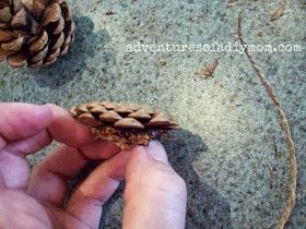 How to Make Pinecone Flowers Pine Cone Flower Wreath, Pinecone Flowers, Diy Mom, Painted Pinecones, Pine Cone Art, Diy Pinecone, Pine Cone Decorations, Pinecone Wreath, Cones Crafts