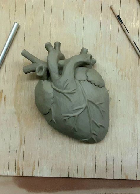 Human Heart Clay Sculpture, Clay Heart Realistic, Heart Clay Sculpture, Ceramic Hearts Ideas, Small Sculpture Ideas, Sculpture Beginner, Clay Anatomy, Clay Body Sculpture, Sculpture Ideas Clay