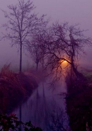 Beltane, Alam Yang Indah, Autumn Aesthetic, Fall Photos, Purple Aesthetic, Nature Beauty, Pretty Pictures, Mother Nature, Beautiful Nature