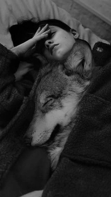 Werewolf Love Aesthetic, Wolf Aesthetic Dark, Wolf Dog Aesthetic, Wolf And Girl, Werewolf Aesthetic, Wolves And Women, Wolf Love, Wolf Pictures, Wolf Spirit