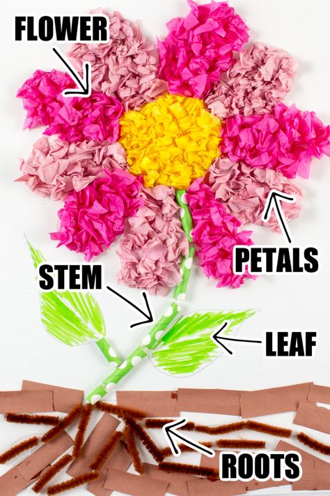 Plant Parts Craft Project and Learning Activity • Kids Activities Blog Parts Of Plant Project, Parts Of The Plant, Plant Parts, Clock Craft, Plant Activities, Plant Crafts, Plant Projects, Spring Fun, Parts Of A Flower