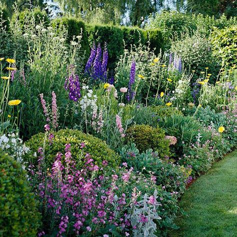 Stately delphiniums are the backbone of this colorful cottage garden plan. Cottage Garden Plan, Garden Plan, Cottage Garden Design, Formal Garden, Garden Shrubs, Cut Flower Garden, Garden Images, Have Inspiration, Beautiful Flowers Garden