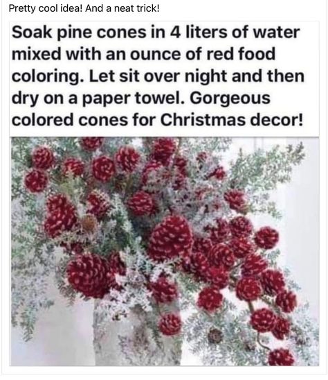 Christmas Hacks, Cones Crafts, Pine Cone Crafts, Snacks Für Party, Christmas 2020, Christmas Deco, Homemade Christmas, Xmas Crafts, Christmas Crafts Diy