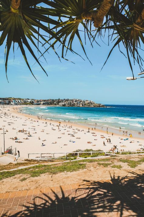 Sydney Australia Bondi Beach, Bondi Aesthetic, Beach Australia Aesthetic, Brisbane Australia Aesthetic, Bondi Beach Aesthetic, Australia Beach Aesthetic, Australia Beach House, Sydney Aesthetic, Australia Lifestyle