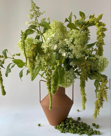 Amaranth Flower Arrangement, Amaranthus Arrangement, Greenery Floral Arrangements, Leaf Arrangements, Arreglos Ikebana, Greenery Arrangements, Bridal Flowers, Ikebana, Green Flowers