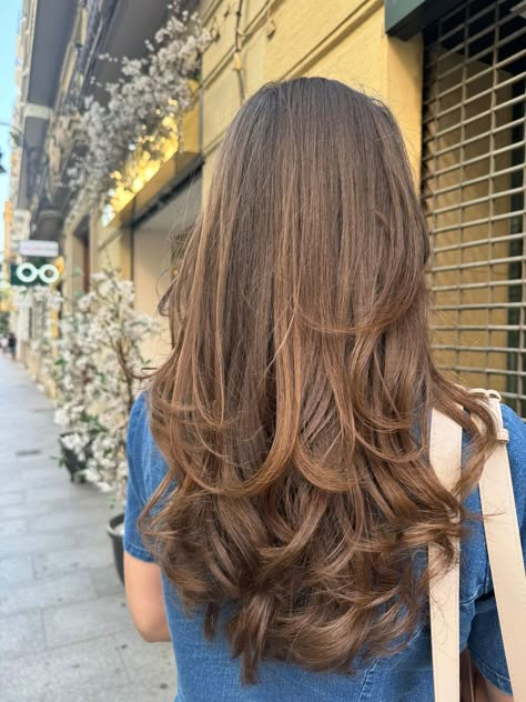 Long Layers Haircut Brown Hair, Long Layer And Face Framing, Rounded Haircut Long Layers, Front Layers Hairstyle, Brown Long Layers Hair, Layers Inspo Medium Hair, Brunette With Long Layers, Curved Layers Hair, What To Dye Brown Hair