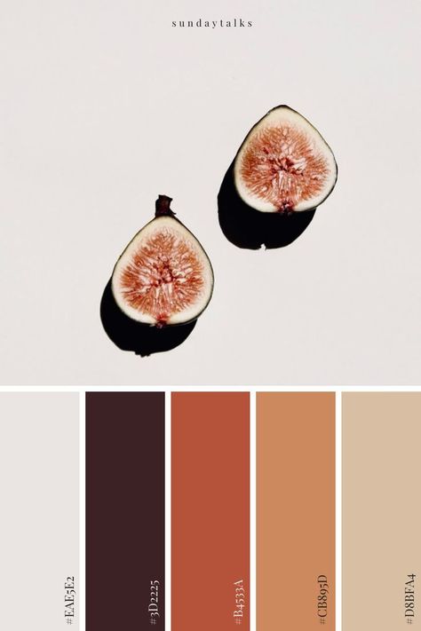 a richwarm palette inspired by sweet figs and fresh seasonal fruitcolors includegraydeep brownburnt orangegoldand beige. Brunt Orange Color Palette, Brown Beige Orange Color Palette, Orange Gray Brown Color Palette, Orange Brown White Color Palette, Crisp Color Palette, Fig Colour Palette, Rust Orange Palette, Brown And Beige Palette, Color Palette With Burnt Orange