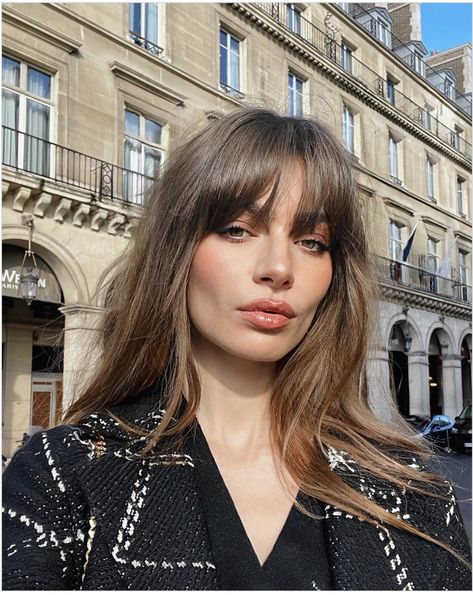 French Haircut, Midlength Haircuts, French Hair, Long Hair With Bangs, Trending Haircuts, Haircuts With Bangs, Bang Bang, Womens Wigs, Remy Human Hair