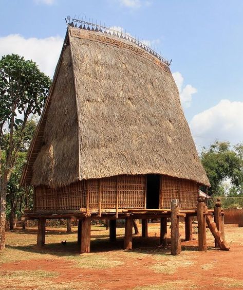 Indigenous House, Elevated Architecture, Vietnamese Architecture, House Hall Design, Stilted House, Open Plan Design, Stilt House, Timber Frame Joinery, African House