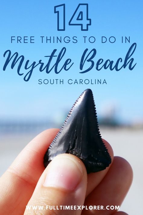 Road Trip To Myrtle Beach South Carolina, Myrtle Beach Hidden Gems, Shelling In Myrtle Beach, Myrtle Beach Dolphin Cruise, Best Things To Do In Myrtle Beach, Myrtle Beach Places To Eat, Myrtle Beach With Toddlers, Myrtle Beach Packing List, Things To Do In North Myrtle Beach Sc