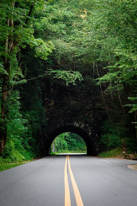 Great Smoky Mountains National Park will impress you with its rugged beauty and Appalachian charm. Even though it's America's busiest Park, there are plenty of quiet hikes and peaceful waterfalls to discover. Read all about the best things to do in Great Smoky Mountains National Park with our complete guide. It's got everything you need to plan a great trip to the Smokies! | #GreatSmokyMountains #NPS#familytravel #NationalParks #SmokyMountains Great Smoky Mountains National Park Aesthetic, National Parks Tennessee, Great Smoky Mountains National Park One Day, Smoky Mountain National Park Pictures, Great Smoky Mountains Aesthetic, Smoky Mountains National Park, Smoky Mountains Aesthetic, Smokey Mountains Aesthetic, Dollywood Vacation