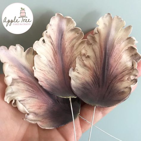 Wafer Paper Butterflies, Giant Flowers Diy, Sugar Flowers Tutorial, Fondant Flower Tutorial, Petal Dust, Wafer Paper Flowers, Christmas Flower Arrangements, Fabric Flower Tutorial, Parrot Tulips