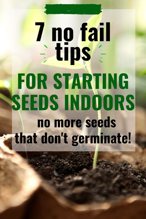 Planting Seeds Indoors, Spring Vegetable Garden, Start Seeds Indoors, Seed Starters, Ocean Garden, Starting Seeds, Spring Garden Flowers, Starting Seeds Indoors, Starting A Garden