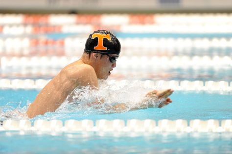 Peter John Stevens Swims Fastest Breaststroke Split In NCAA History Portugal Football, Ryan Lochte, Katie Ledecky, Swimming World, Swimming Women, Best Swimmer, 1500m, Olympic Swimming, 2012 Olympics