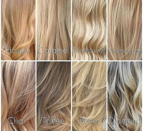 Different Shades of Blondes                                                                                                                                                                                 More Champagne Hair Color, Types Of Blondes, Shades Of Blonde Hair, Champagne Blond, Blonde Hair Color Chart, Different Shades Of Blonde, Champagne Blonde Hair, Champagne Hair, Ash Blonde Hair Colour