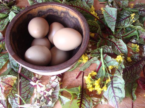 Flower and Pheasant Egg Salad Egg Salads, Pheasant Eggs, Big Sis, Egg Salad, Pheasant, See Me, My Sister, Puppets, First Time