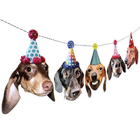 Dogs Birthday, Dachshund Dogs, Birthday Garland, Dog Birthday Cake, Pet Supplies & Accessories, Pet Blog, Dog Birthday Party, Party Garland, Dog Party