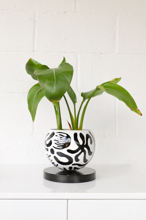 Black And White Planters, Black And White Matisse, White Plant Pots, Squiggle Pattern, Painted Planter, Matisse Inspired, Sazerac, White Interior Design, Black And White Interior