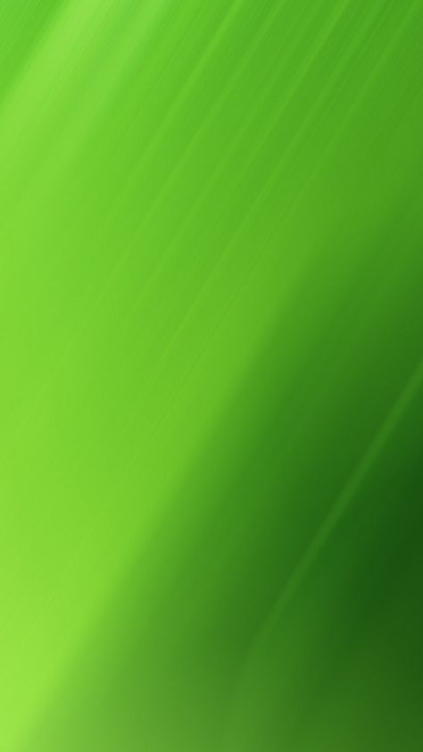 Green Cellphone Wallpaper | Best Wallpaper HD Green Poster Background, Desktop Wallpaper Ideas, Green Bg, Cute Food Wallpaper, Greens Restaurant, Wallpaper Best, Beauty Salon Posters, Camo Wallpaper, Light Green Background