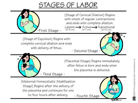 Nursing Guide: The Four Stages of Labor - StudyPK Labor Stages, Nursing Ob, Maternal Nursing, Peds Nursing, Nursing Study Tips, Newborn Nursing, Ob Nurse, Child Nursing, Nursing Board